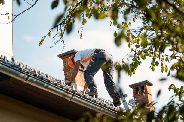 Professional Roofing Contractor in Lawton, IA