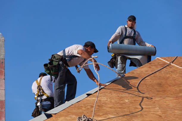 Best Roof Gutter Cleaning  in Lawton, IA